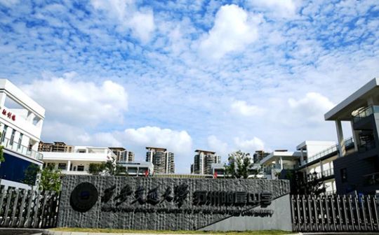 西安交通大學蘇州附屬中學在蘇州的排名第幾,南外屬于什么檔次？