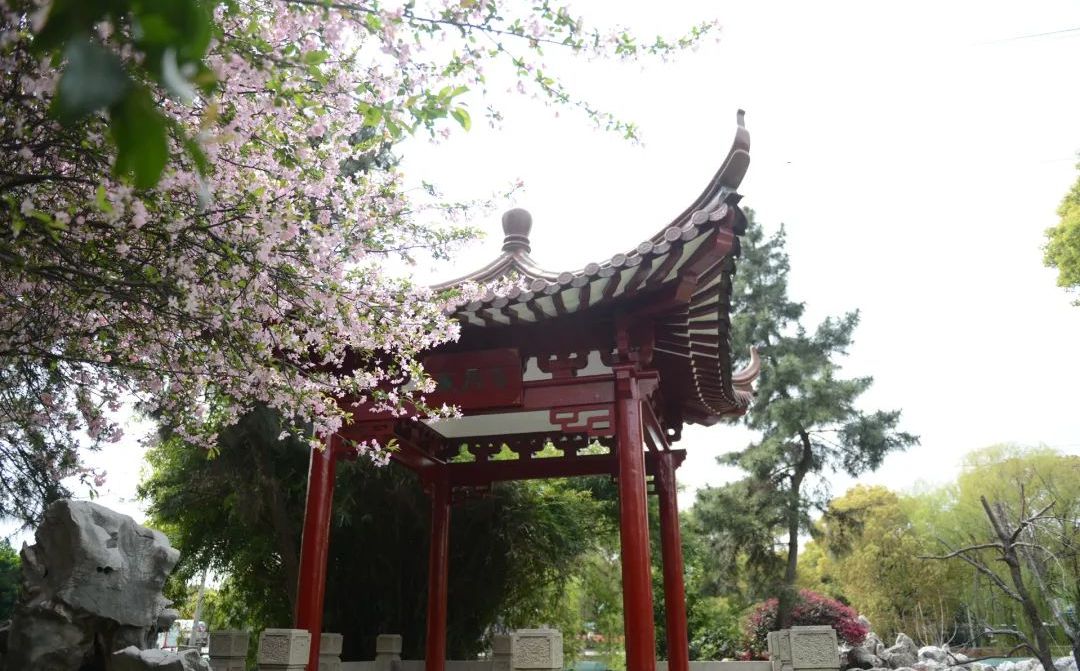 吳江盛澤中學(xué)簡介概況（建校歷史、地址、師資、校訓(xùn)、環(huán)境）