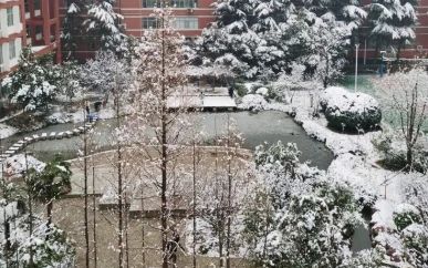 鄭州外國語學校在鄭州的排名第幾,南外屬于什么檔次？