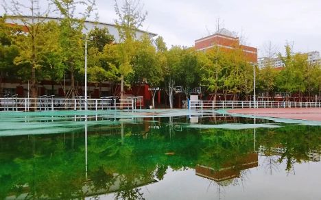 鄭州外國語學(xué)校是公立還是私立,是重點中學(xué)嗎？