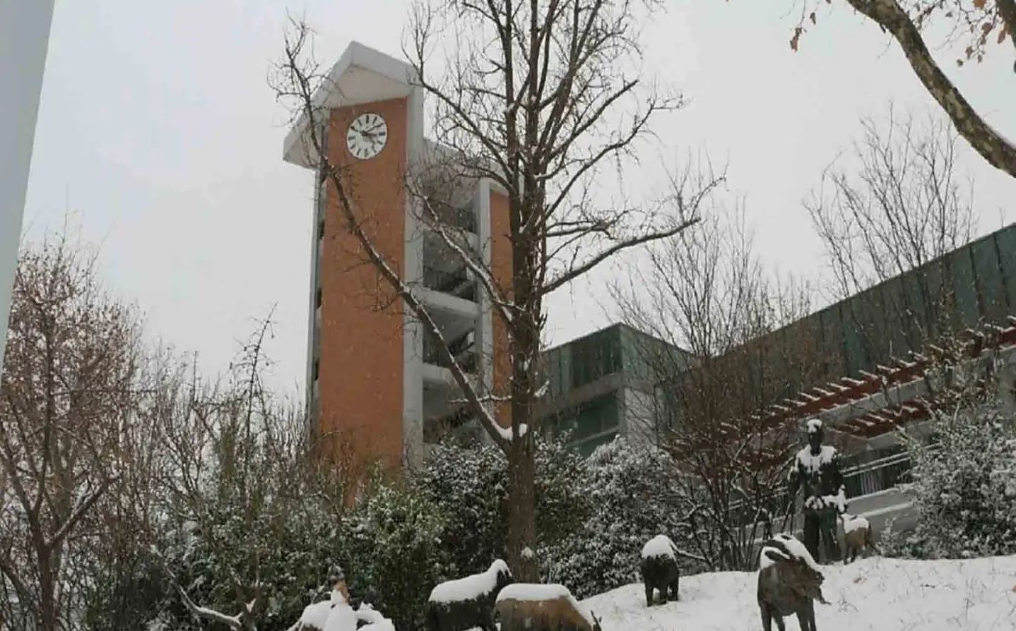 鄭州市第一中學(xué)地址在哪里_位于哪個區(qū)？