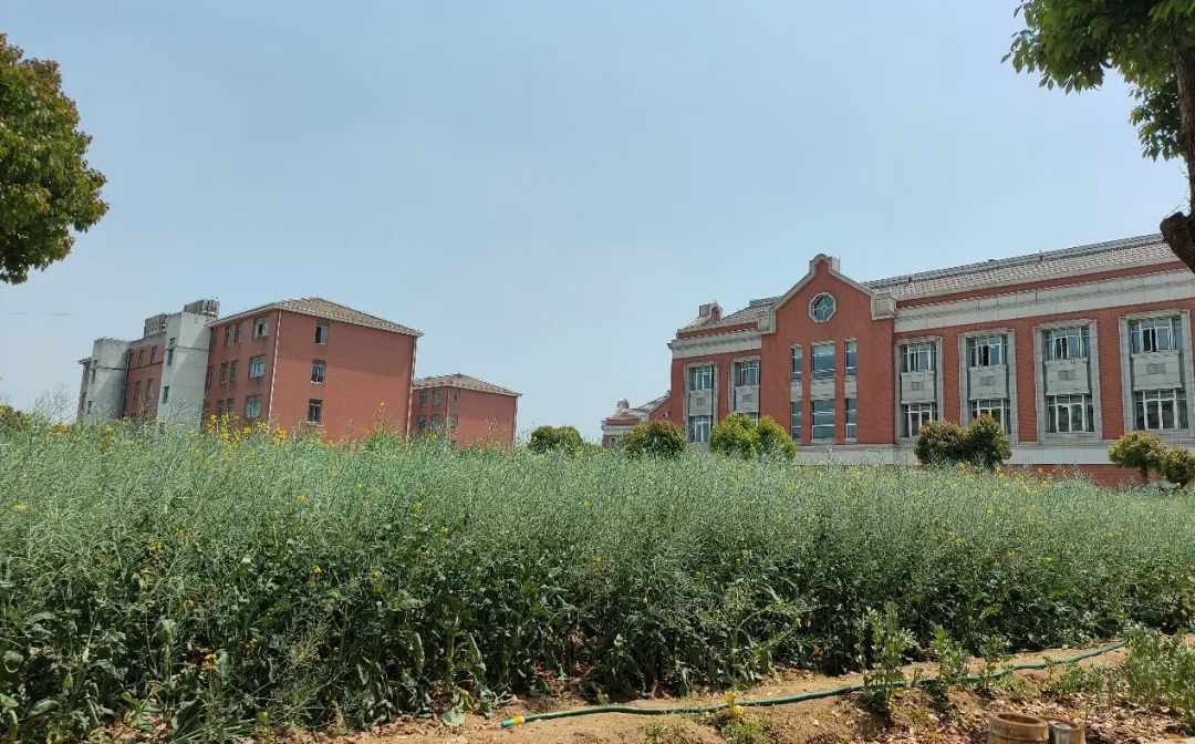 江蘇省外國語學(xué)校地址在哪里_位于哪個區(qū)？