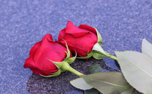 2026年情人節(jié)是幾月幾日,情人節(jié)送什么禮物給女朋友？