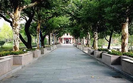 杭州高級中學(xué)在杭州的排名第幾,屬于什么檔次？