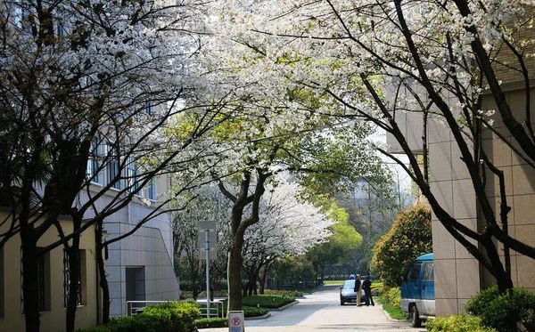 杭州第十四中學(xué)簡(jiǎn)介概況（建校歷史、地址、師資、校訓(xùn)、環(huán)境）