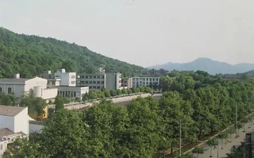 浙江大學(xué)附屬中學(xué)有幾個校區(qū)_分別在哪？