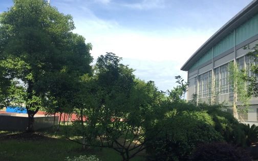 杭州市夏衍中學(xué)簡介概況（建校歷史、地址、師資、校訓(xùn)、環(huán)境）