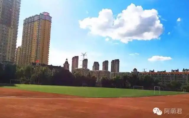 哈爾濱市田家炳高級實驗中學(xué)校區(qū)在哪_在什么區(qū)？