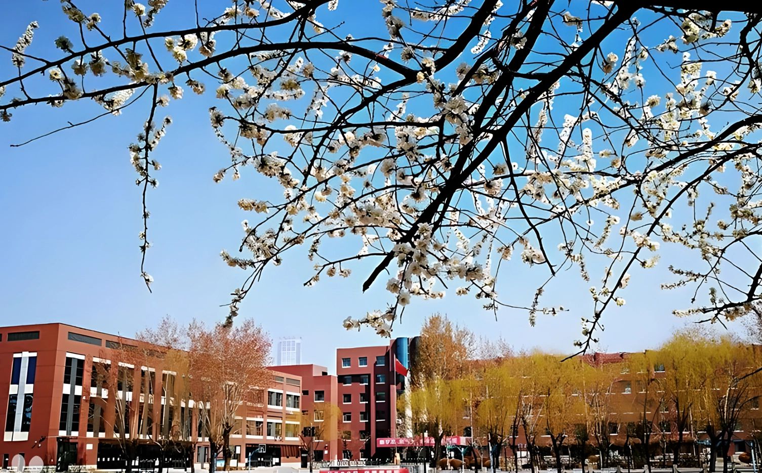 沈陽市第一中學(xué)是公立還是私立,是重點(diǎn)中學(xué)嗎？