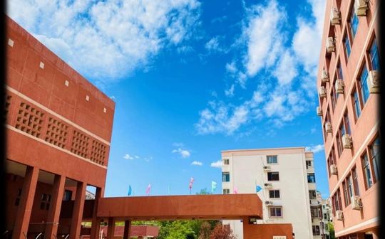 天津中學(xué)是公立還是私立,是重點中學(xué)嗎？