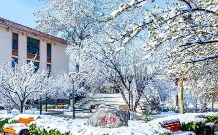 天津市第七中學校區(qū)在哪_在什么區(qū)？