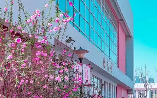 天津市第七中學(xué)是公立還是私立,是重點(diǎn)中學(xué)嗎？