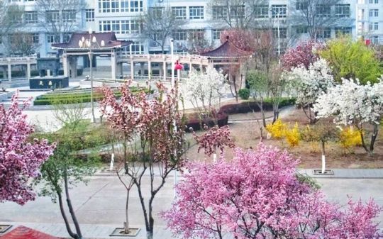 天津市靜海區(qū)第一中學簡介概況（建校歷史、地址、師資、校訓、環(huán)境）