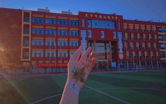 天津市微山路中學(xué)校區(qū)在哪_在什么區(qū)？