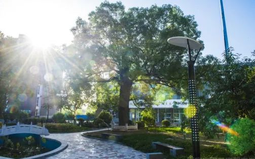 石家莊第二實(shí)驗(yàn)中學(xué)在石家莊的排名第幾,屬于什么檔次？