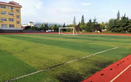 青島西海岸中學(xué)是公立還是私立,是重點(diǎn)中學(xué)嗎？