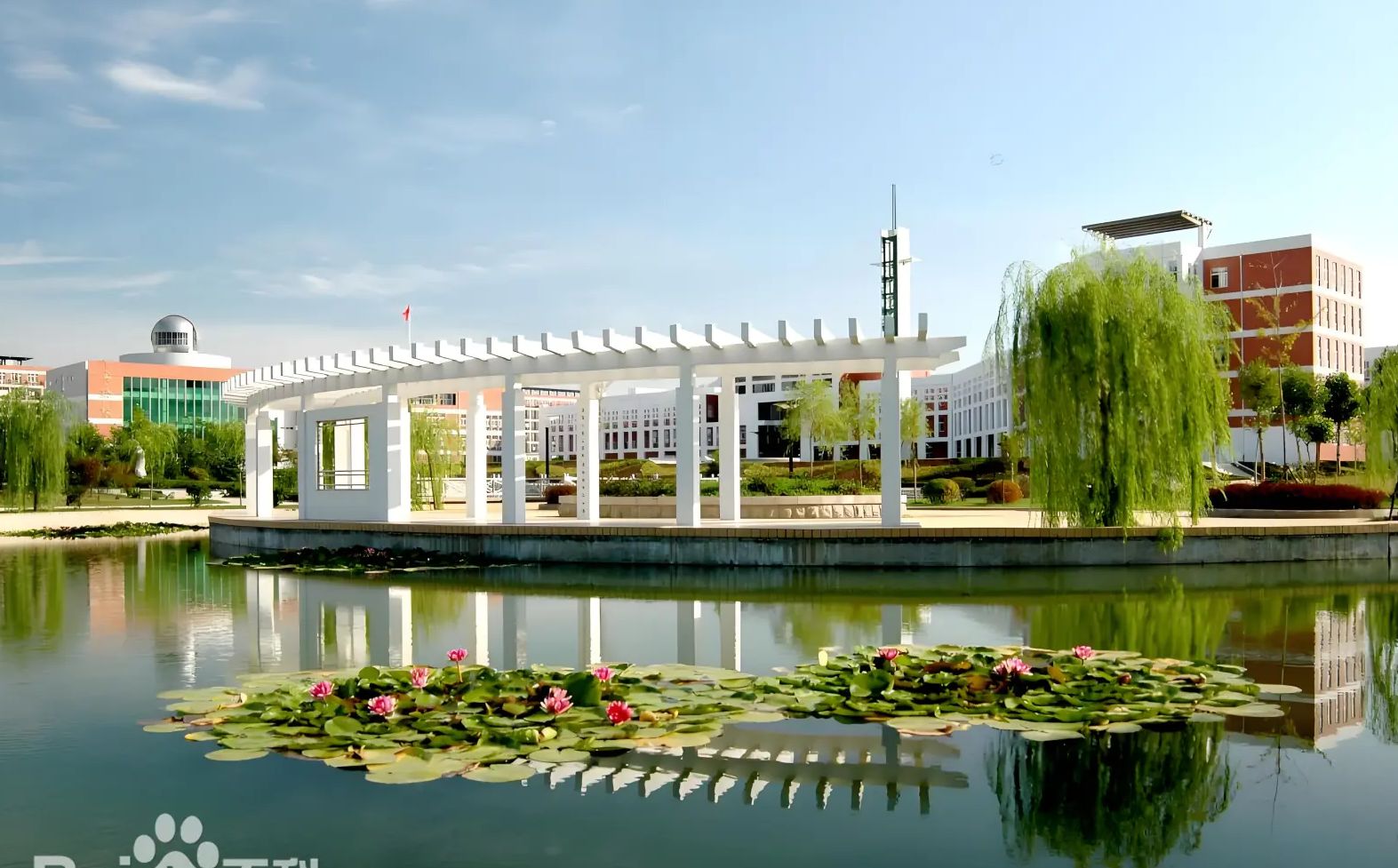 膠南第一高級(jí)中學(xué)在青島的排名第幾,屬于什么檔次？