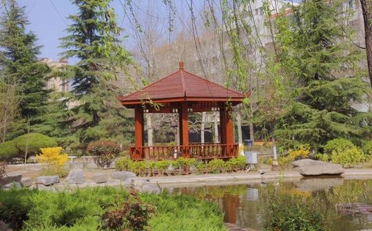 即墨區(qū)市北中學(xué)校區(qū)在哪_在什么區(qū)？