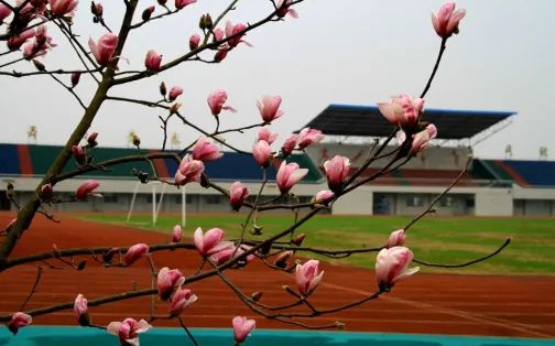 武漢市漢南第一中學(xué)簡(jiǎn)介概況（建校歷史、地址、師資、校訓(xùn)、環(huán)境）