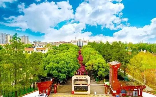 武漢市新洲區(qū)第一中學(xué)在武漢的排名第幾,屬于什么檔次？