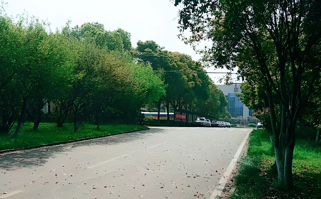 武漢市黃陂區(qū)第一中學(xué)在武漢的排名第幾,屬于什么檔次？