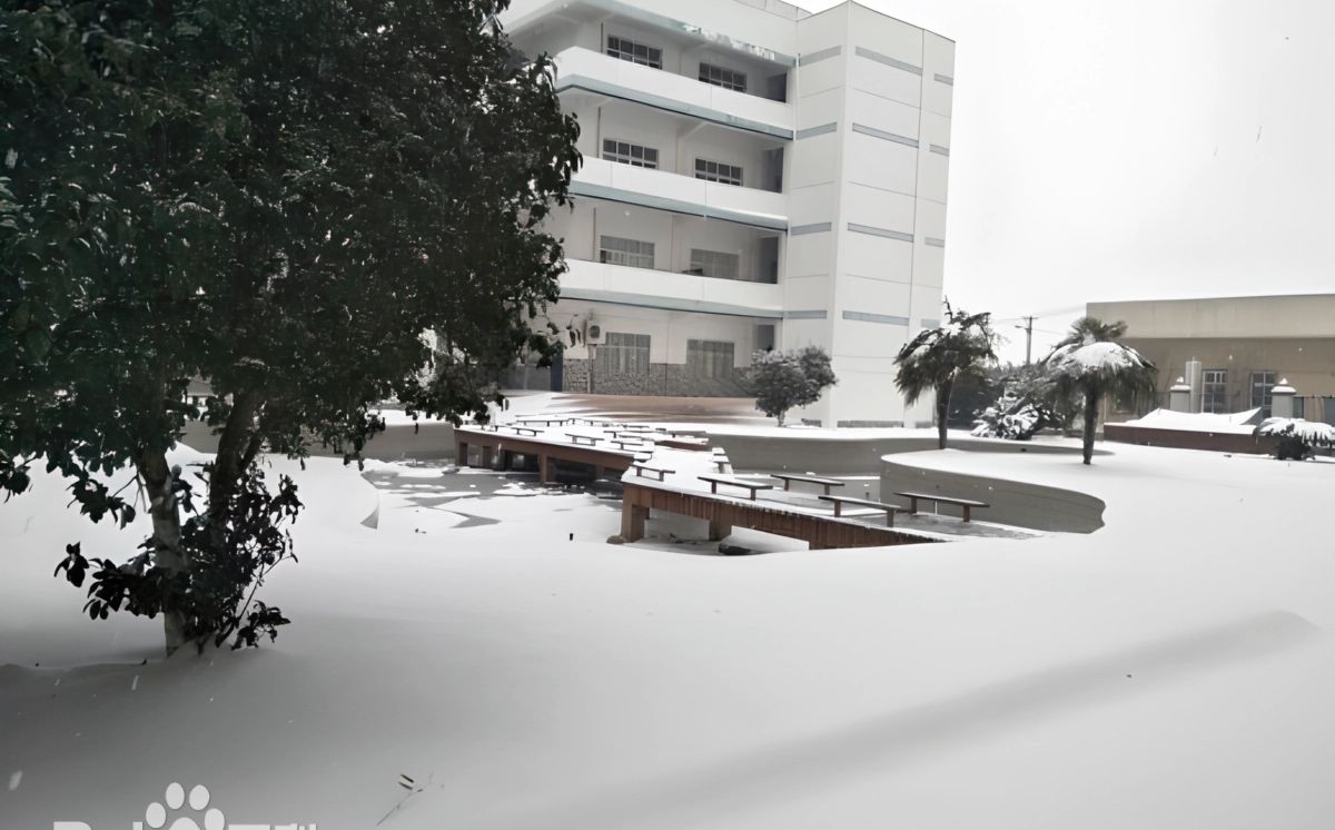 武漢市黃陂區(qū)第一中學是公立還是私立,是重點中學嗎？