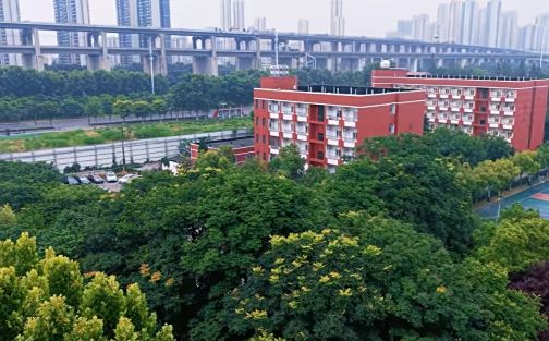 武漢市第三十九中學(xué)簡介概況（建校歷史、地址、師資、校訓(xùn)、環(huán)境）