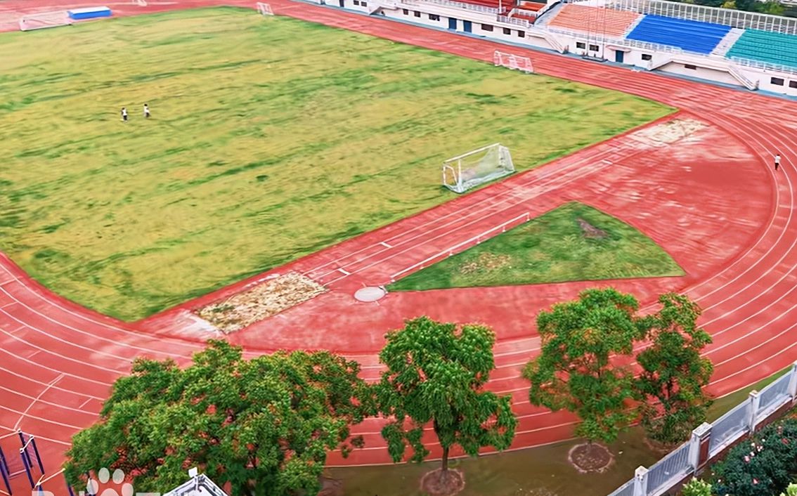 武漢市第三十九中學(xué)校區(qū)在哪_在什么區(qū)？