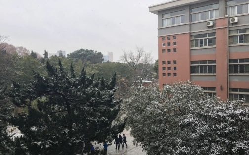 武漢大學(xué)附屬中學(xué)在武漢的排名第幾,屬于什么檔次？