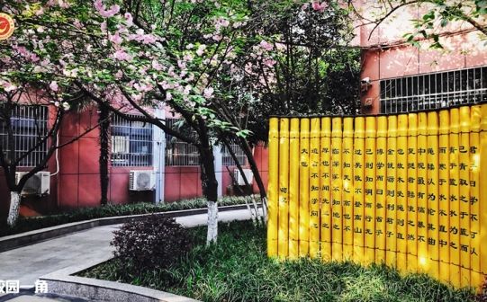 武漢市關山中學在武漢的排名第幾,屬于什么檔次？