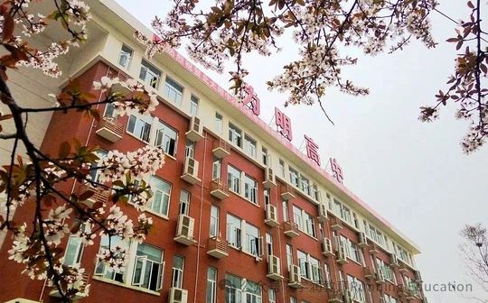 武漢為明高級(jí)中學(xué)校區(qū)在哪_在什么區(qū)？