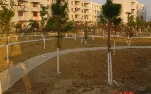 武漢市新洲區(qū)第四中學簡介概況（建校歷史、地址、師資、校訓、環(huán)境）