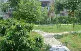 武漢市新洲區(qū)第四中學簡介概況（建校歷史、地址、師資、校訓、環(huán)境）