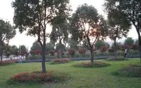 武漢市新洲區(qū)第四中學(xué)校區(qū)在哪_在什么區(qū)？