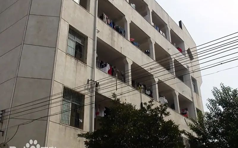 武漢市新洲區(qū)城關(guān)高級中學校區(qū)在哪_在什么區(qū)？