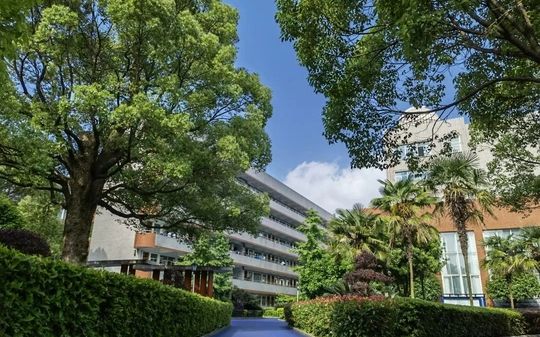 麓山國際實驗學校在長沙的排名第幾,屬于什么檔次？