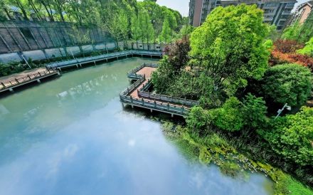 長沙市南雅中學(xué)是公立還是私立,是重點(diǎn)中學(xué)嗎？