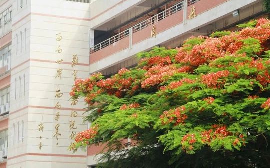 廈門市大同中學(xué)是公立還是私立,是重點(diǎn)中學(xué)嗎？