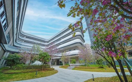 深圳市格致中學(xué)在深圳的排名第幾,屬于什么檔次？