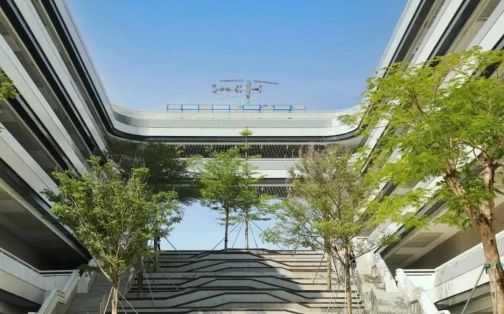 深圳市格致中學校區(qū)在哪_在哪個區(qū)？